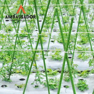 Robusto 8 11 16 20mm Estacas para plantas Envuelto PE Estacas para invernadero Anti óxido Tomate Pepino Soporte de jardinería para trepar plantas - Product Image 2