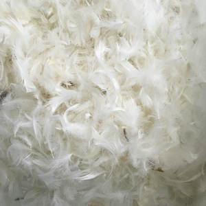 Penjualan laris bulu bebek putih alami dicuci untuk bantal dan selimut Premium - Product Image 1