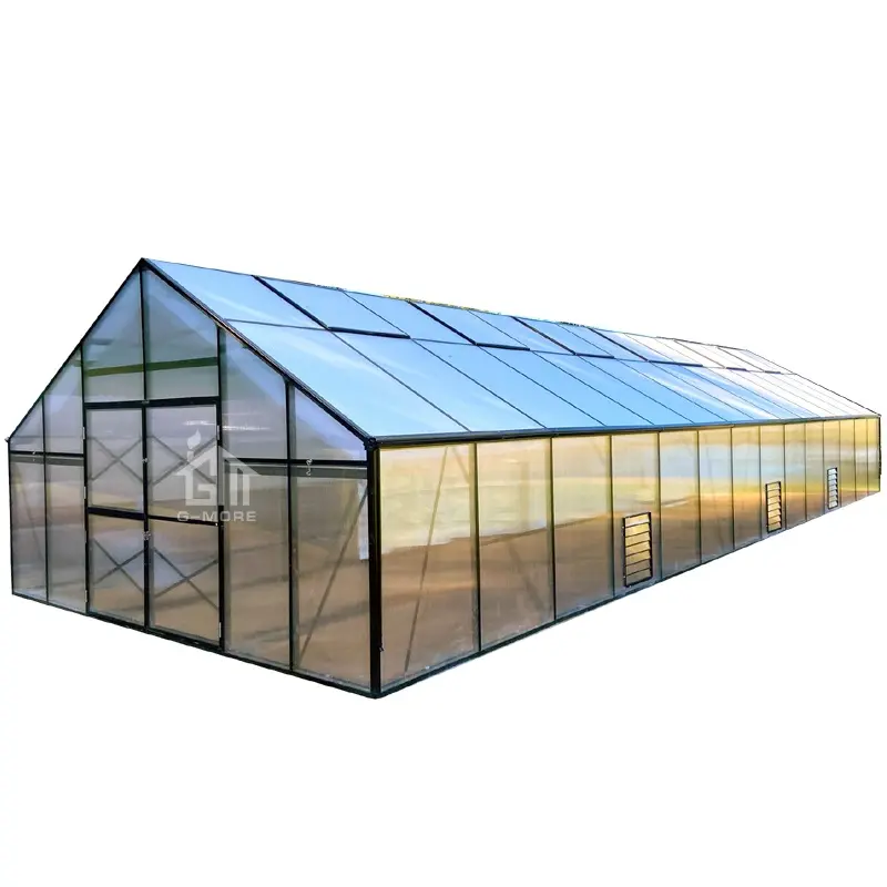 G-MORE農業用商業温室10MMPC温室家庭用14x5メートル