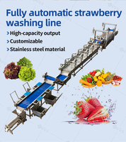 Ligne de lavage automatique personnalisée Simplot pour fruits et légumes, machine de nettoyage à bulles d'air pour fraises, myrtilles, cerises