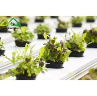 Système hydroponique vertical agricole à cadre, avec canaux et gouttières NFT, pour serre hydroponique entièrement automatisée