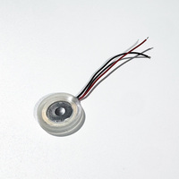 Disque atomiseur piézoélectrique SWT 16 mm avec fils rouge-noir pré-soudés, plaque de brumisation ultrasonique pour appareil de nébulisation médical et esthétique