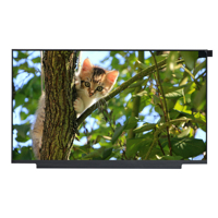 Pantalla de portátil sin soportes Nano Edge sin marco de 30 Pines, pantalla de portátil, B156XTN08.0, 15,6 pulgadas, 2 uds., 2 uds., 2 uds., 2 uds., 2 uds.