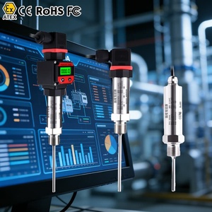 Termómetro Digital RTD, Sensor RTD, Transmisor de Temperatura, Sensor de Temperatura de Alta Precisión - Product Image 1