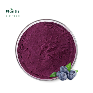 Pó de Fruta de Mirtilo Orgânico Natural de Alta Qualidade Liofilizado - Product Image 1