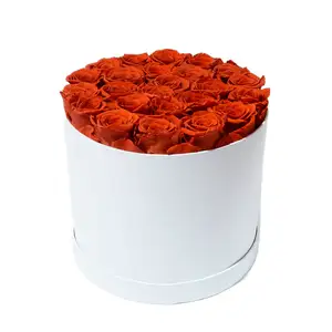 Cilindro de rosas preservadas de color personalizado en caja para el día de la madre Navidad graduación Pascua Día de San Valentín o Halloween