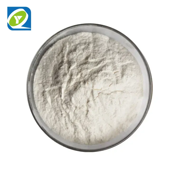 Top Grade Coconut Extract Powder Factory Supply Freeze Dried Coconut Powder