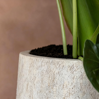 Pot Tanaman Fiberclay Besar Retro untuk Dalam Ruangan, Pot Taman, Pot Tanaman Luar/Dalam Ruangan, Pot Tanaman Bulat untuk Penggunaan di Lantai Teras Villa