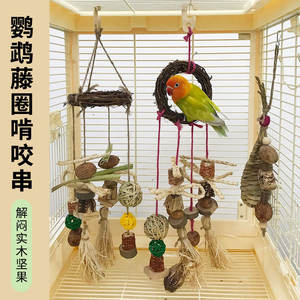 Jouet en <span class=keywords><strong>bois</strong></span> suspendu pour perroquet, pour la <span class=keywords><strong>dentition</strong></span>, l'exercice, soulage l'ennui, <span class=keywords><strong>anneau</strong></span> de balançoire, décoration, ornement de cage à oiseaux - Product Image 2