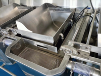 Drie-In-Één Functie Fruitgroentevlees Zeevruchten Wassen Blancheren Koelmachine