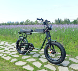Bicicleta Eléctrica <span class=keywords><strong>2021</strong></span> Power Long Seat, Modelo Retro con Motor Trasero de 250w, Bicicleta Eléctrica 73 - Product Image 4