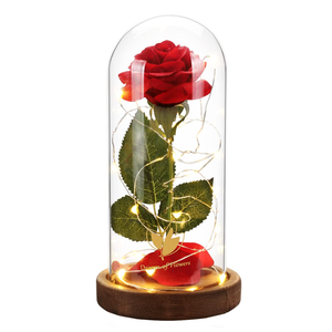 Rosa Eterna Artificial con Luz LED, La Bella y la Bestia en Cubierta de Cristal, Decoración Navideña para el Hogar, Regalo para el Día de la Madre, San Valentín, Año Nuevo - Product Image 1
