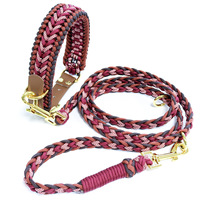Collier et laisse pour chien en corde d'escalade en nylon écologique de luxe, tissée à la main, réfléchissante, en macramé