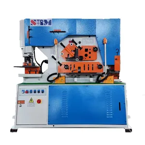 Raintech Professional Manufacturer Hydraulic Iron Worker Combined Punching Notching Cutting Machine Hydraulic Metal IronWorker