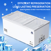 Offre Spéciale d'usine litre différent maison mini réfrigérateur d'aliments frais réfrigérateur congélateur maison réfrigérateurs hôtel mini réfrigérateur