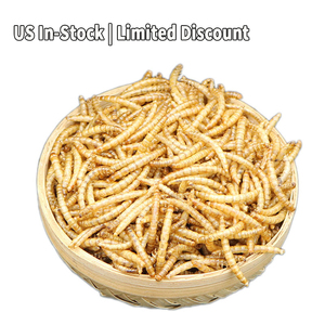 חטיף חיות מחמד עשיר בחלבון, אורגני, ללא הנדסה גנטית, קל לאיתור, בתפזורת, עשוי מחוטי קמח וצרצרים, לציפורים, צבים וגקוֹקים - מזון לחיות מחמד - Product Image 3