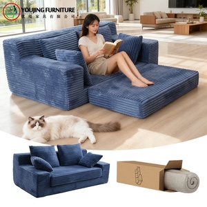 Moderno Sofá Cama de Espuma Comprimido al Vacío Empacado Plano Expansible y Compacto Muebles de Sala de Estar de Fácil Montaje para Ahorrar Espacio - Product Image 1