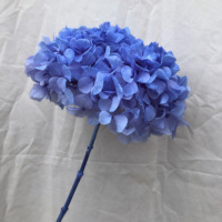 Promo! Bunga Hydrangea Daun Besar Berkualitas Tinggi, Tahan Lama, Ramah Lingkungan, Cocok untuk DIY, Wisuda, Hari Valentine