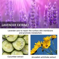 Yoxier 20g Crème Réparatrice Cicatrices à la Lavande avec Aloe Vera Correction Pigmentaire & Blanchissante Soin Peau Lisse