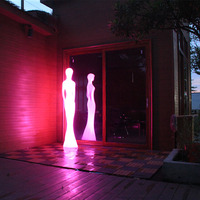 Lumières LED de Noël permanentes à pixels pour décoration extérieure, produits rotomoulés pour portes illuminées et décoratives