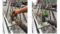 Draagbare Suikerriet Huid Peeling Machine/Suikerriet Schil Verwijderen Machine