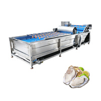 Laveuse de fruits et légumes de qualité alimentaire 15000W, garantie 1 an pour ligne de traitement des produits frais