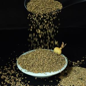 بقعة بالجملة بذور الشبت المطبخ الغربي بذور الشبت التوابل التوابل السجق قاعدة - Product Image 5