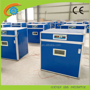 Mejor calidad ouchen pollo codornices aves de corral de brooder huevo incubadora para - Product Image 3