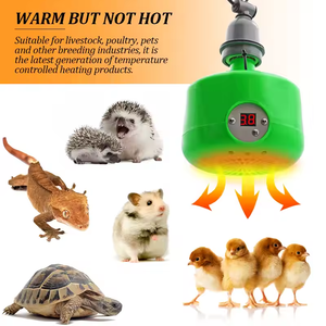 Nouvelle ampoule <span class=keywords><strong>chauffante</strong></span> intelligente 220V pour animaux, <span class=keywords><strong>lampe</strong></span> <span class=keywords><strong>chauffante</strong></span> pour reptiles, température réglable, <span class=keywords><strong>lampe</strong></span> <span class=keywords><strong>chauffante</strong></span> pour poussins - Product Image 3