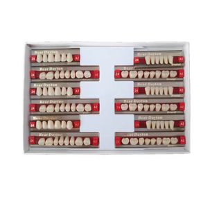 Resina Acrílica Dental OEM para Próteses (A1-A3) Materiais Dentários Econômicos com Sombreamento e Dentina Sintética - Product Image 3