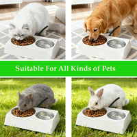 Mangeoire d'hiver pour animaux de compagnie à température constante, bol à eau et à nourriture pour chat, chien et lapin avec fil anti-morsure