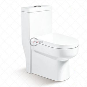 Ensemble tout-en-un, haute performance, toilette monobloc, surface propre, prix de gros abordable, toilette - Product Image 1
