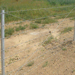 Filo spinato zincato 1.6mm filo di ferro per protezione 300m lunghezza miglior prezzo a YIWU o GUANGZHOU" - Product Image 6