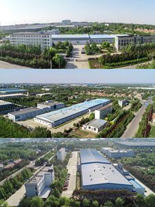 Zhongkaixin alimenti all'ingrosso all'ingrosso dieta cibo Instant basso Slim riso umido Shirataki Konjac - Product Image 5