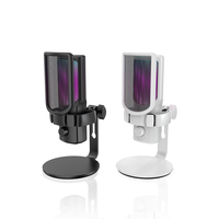 Youtube Podcast Microphones Condensateur Studio Microphone d'enregistrement Bureau RGB Sing Microphone Mic