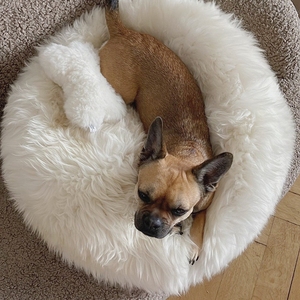 Cama de perro de algodón <span class=keywords><strong>PP</strong></span> de espuma viscoelástica suave y cómoda de felpa redonda - Product Image 5