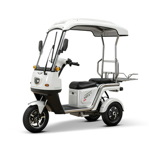 <span class=keywords><strong>Tricycle</strong></span> électrique compact à trois roues, carrosserie ouverte, pour 2 passagers, vitesse 30-50 km/h, puissance > 1000 W - Product Image 1