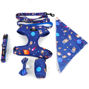 Personalisiertes Hundegeschirr-Set, Modisches Umweltfreundliches Hundegeschirr und Leine, Komfortables Atmungsaktives Hundegeschirr-Set - Product Image 1