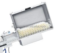 Machine de remplissage et de scellage ultrasonique pour tubes composites aluminium-plastique (ABL) pour pâte dentifrice avec orientation du marquage du tube