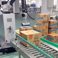 Robot Paletizador Colaborativo de Fácil Programación, Equipo de Apilamiento de Cajas y Bolsas Accionado por Servomotores