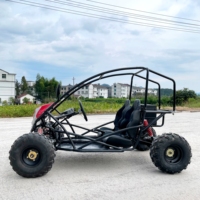Voiture électrique pour adultes LNA Never Quits 1500w