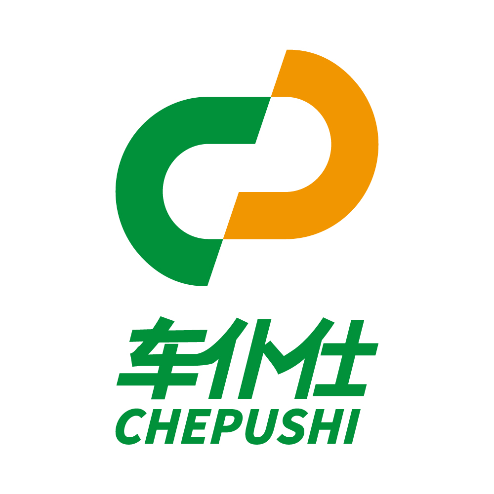 Shenzhen Chepushi Information Technology Development Co., Ltd. logo