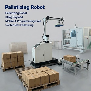 Intelligent Robot to Load Pallet in Warehouse, AI-Driven System for Optimizing Patterns and <b>Maximizing</b> Space Utilization - Product Image 3