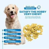 Friandises saines de qualité supérieure à marque privée, biscuits fiables de haute qualité, friandises pour chiens modernes et innovantes en gros