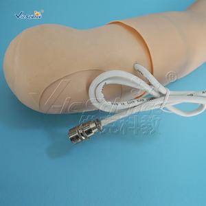 หุ่นจำลองการพยาบาลวิทยาศาสตร์การแพทย์แขนฝึกความดัน<span class=keywords><strong>โลหิต</strong></span>โมเดล<span class=keywords><strong>การ</strong></span>ศึกษาวิทยาศาสตร์ทางการแพทย์ - Product Image 4