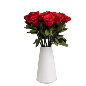 新潮流定制品牌奢华单罗莎永恒花瓶茎家居装饰彩色永恒玫瑰保鲜花