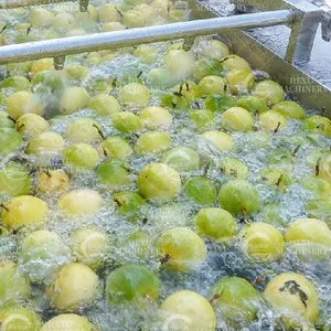 Yüksek verimli meyve çamaşır makinesi sebze kabarcıklı yıkayıcı yaprak sebze marul çamaşır makinesi