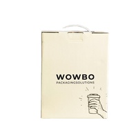 Boîte en carton d'emballage liquide BIB personnalisée avec illustration de piscine estivale, de qualité alimentaire, écologique et haut de gamme