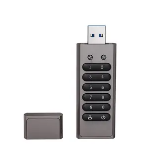 2024新的趋势定制标志安全数字密码锁u盘USB3.0 1tb 8gb 16gb 32gb 64gb 128GB Pendrive u盘