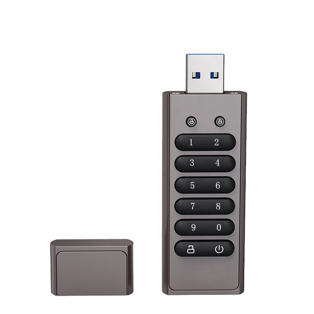 2026 New Trending Custom Logo Safe Digital Password Lock USB Stick 32GBPendrive USB Flash Drives